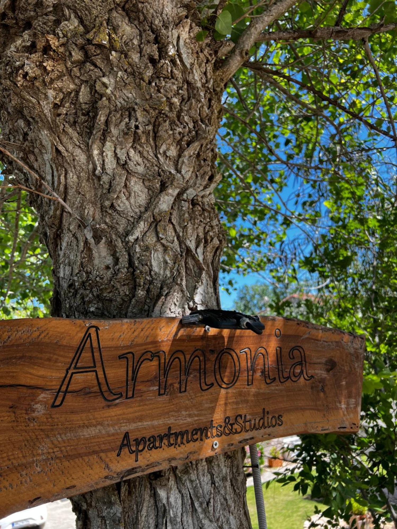 Armonia Apartments & Studios Perivólion エクステリア 写真